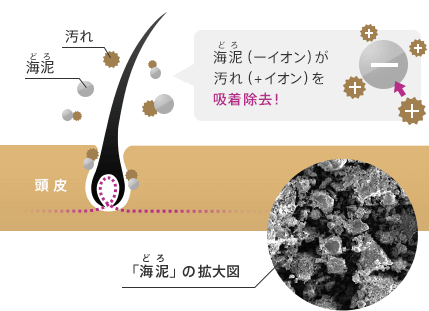 海泥（－イオン）が汚れ（+イオン）を吸着除去！ 「海泥」の拡大図