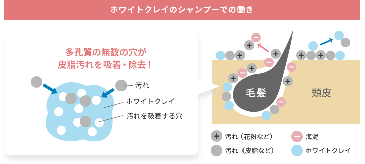 海藻 海泥 シャンプー ラサーナ公式通販サイト 海藻 海泥 シャンプー ラサーナ公式通販サイト