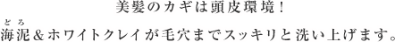 美髪のカギは頭皮環境！海泥＆ホワイトクレイが毛穴まですっきりと洗い上げます。