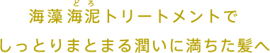 海藻 海泥 トリートメントでしっとりまとまる潤いに満ちた髪へ