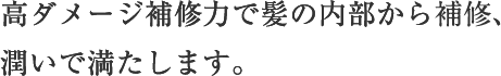 高ダメージ補修力で髪の内部から補修、潤いで満たします。