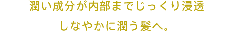 潤い成分が内部までじっくり浸透 しなやかに潤う髪へ。