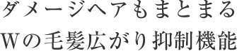 ダメージヘアもまとまるWの毛髪広がり抑制機能