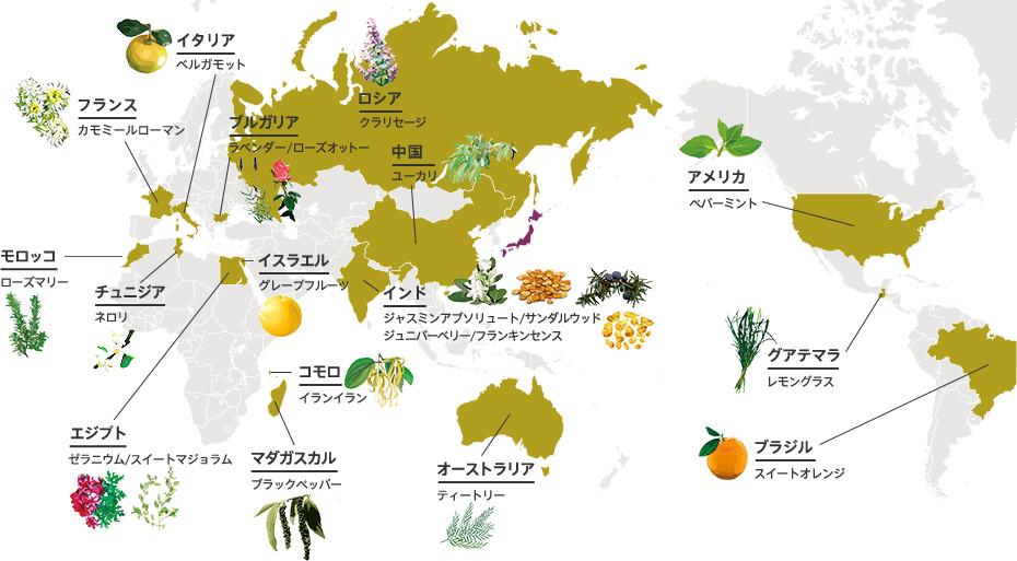 エッセンシャル オイル 精油 ラサーナ公式通販サイト