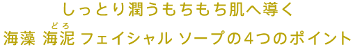 しっとり潤うもちもち肌へ導く 海藻 海泥 フェイシャルソープの4つのポイント