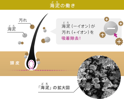 海泥の働き 海泥（－イオン）が汚れ（＋イオン）を吸着除去！ 「海泥」の拡大図