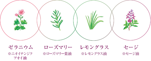 ニオイテンジクアオイ油、ローズマリー葉油、レモングラス油、セージ油