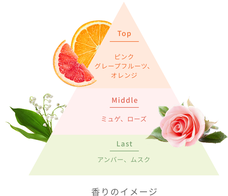 Top ピンクグレープフルーツ、オレンジ Middle ミュゲ、ローズ Last アンバー、ムスク 香りのイメージ
