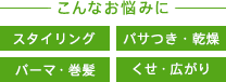 こんなお悩みに スタイリング パサつき・乾燥 パーマ・巻髪 くせ・広がり