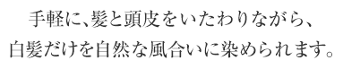 手軽に、髪と頭皮をいたわりながら、白髪だけを自然な風合いに染められます。