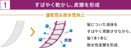 1 すばやく乾かし、皮膜を形成 速乾性&耐水性向上 髪についた液体をすばやく蒸散させながら、髪1本1本に耐水性皮膜を形成。