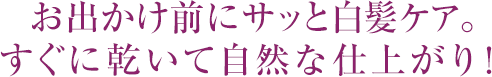 お出かけ前にサッと白髪ケア。すぐに乾いて自然な仕上がり！