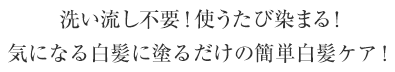 洗い流し不要！使うたび染まる！ 気になる白髪に塗るだけの簡単白髪ケア！