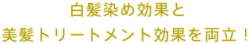 白髪染め効果と美髪トリートメント効果を両立！