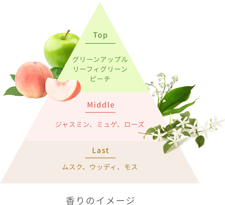 Top  グリーンアップル リーフィグリーン ピーチ  Middle  ジャスミン、ミュゲ、ローズ  Last  ムスク、ウッディ、モス  香りのイメージ