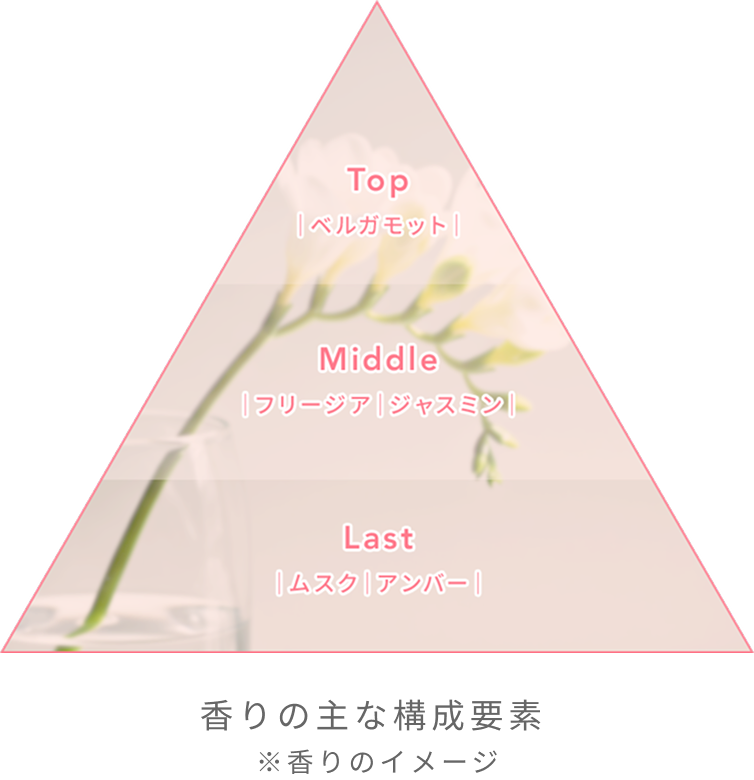Top ベルガモット  Middle フリージア ジャスミン  Last ムスク アンバー  香りの主な構成要素  ※香りのイメージ