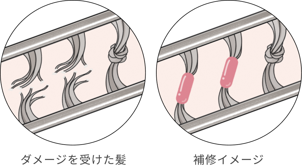 ダメージを受けた髪  補修イメージ