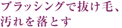 ブラッシングで抜け毛、汚れを落とす