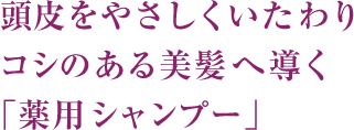  頭皮をやさしくいたわりコシのある美髪へ導く「薬用 シャンプー」