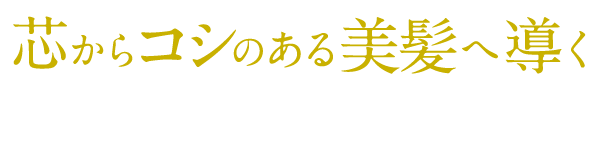 芯からコシのある美髪へ導く 薬用 シャンプー 医薬部外品