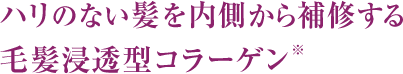 やせた髪を内側から修復する毛髪浸透型コラーゲン※