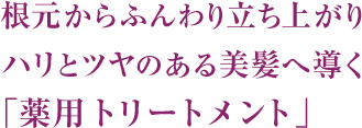 根元からふんわり立ち上がりハリとツヤのある美髪へ導く「薬用 トリートメント」