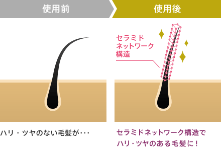 使用前 ハリ・ツヤのない毛髪が・・・ 使用後 セラミドネットワーク構造 セラミドネットワーク構造でハリ・ツヤのある毛髪に！