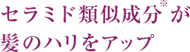 セラミド類似成分※が髪のハリをアップ