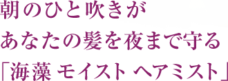 朝のひと吹きがあなたの髪を夜まで守る「海藻 モイスト ヘアミスト」