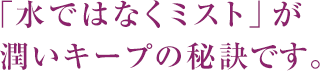 「水ではなくミスト」が潤いキープの秘訣です。