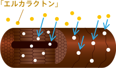 エルカラクトン