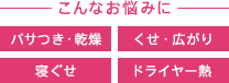 こんなお悩みに パサつき・乾燥 くせ・広がり 寝ぐせ ドライヤー熱