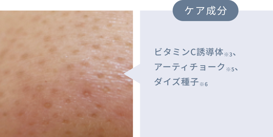 ケア成分 ビタミンC誘導体※3、アーティチョーク※5、ダイズ種子※6