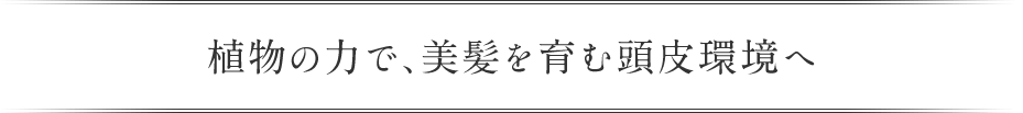 植物の力で、美髪 を育む頭皮環境へ