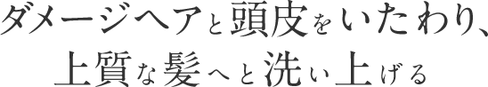 ダメージヘアと頭皮をいたわり、 上質な髪へと洗い上げる