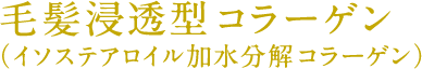 毛髪浸透型コラーゲン（イソステアロイル加水分解コラーゲン）