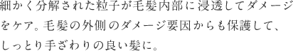 細かく分解された粒子が毛髪内部に浸透してダメージをケア。毛髪の外側のダメージ要因からも保護して、しっとり手ざわりの良い髪に。