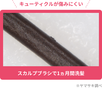 キューティクルが傷みにくい  ※ヤマサキ調べ