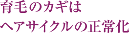  育毛のカギはヘアサイクルの正常化