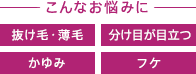 こんなお悩みに 抜け毛・薄毛 分け目が目立つ かゆみ フケ