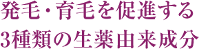 発毛・育毛を促進する 3種類の生薬由来成分