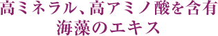 フランス ブルターニュ産の海藻