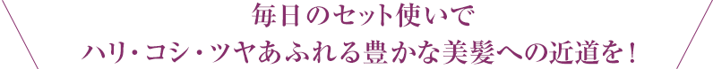 毎日のセット使いで ハリ・コシ・ツヤあふれる豊かな美髪への近道を！