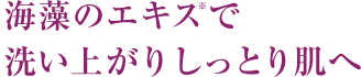 海藻のエキス※で洗い上がりしっとり肌へ