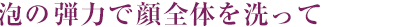 泡の弾力で顔全体を洗って