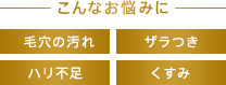 こんなお悩みに 毛穴の汚れ ザラつき ハリ不足 くすみ