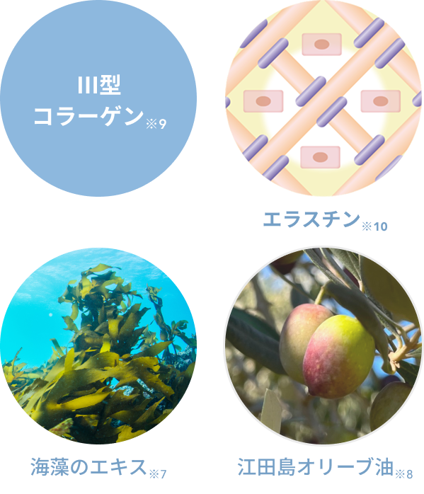 Ⅲ型コラーゲン※9  エラスチン※10  海藻のエキス※7  江田島オリーブ油※8