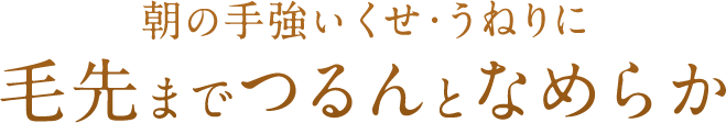 朝の手強いくせ毛に！毛先までつるんとなめらか