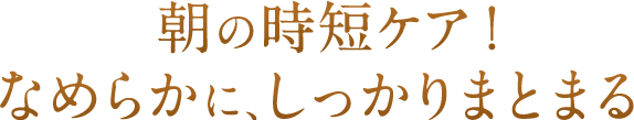 朝の時短ケア！なめらかに、しっかりまとまる