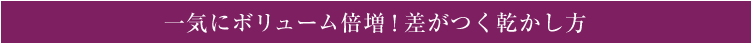 一気にボリューム倍増！ 差がつく乾かし方